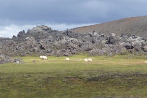 Champ de lave, Brennisteinsalda