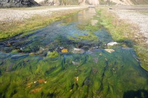 Piscine de Landmannalaugar