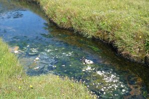 Piscine de Landmannalaugar