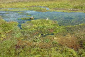 Piscine de Landmannalaugar