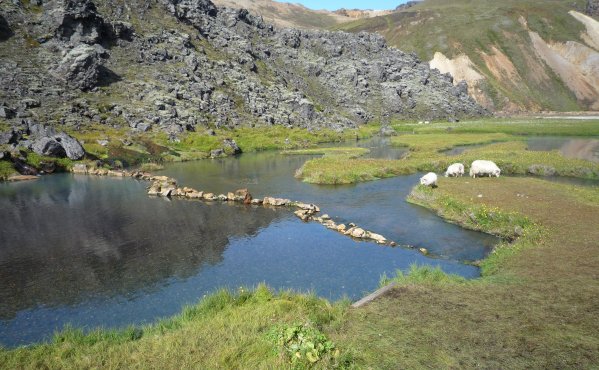Piscine de Landmannalaugar