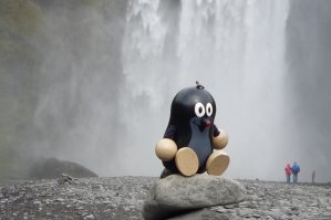 Taupek en Islande