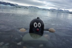 Taupek en Islande