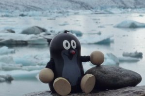 Taupek en Islande