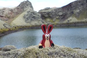 Taupek en Islande