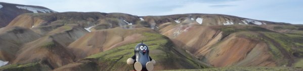 Taupek en Islande