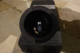 Taupek &agrave; l'armurerie