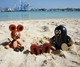 Taupek &agrave; la plage