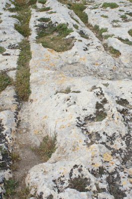 Cart ruts de Clapham Junction, Malte