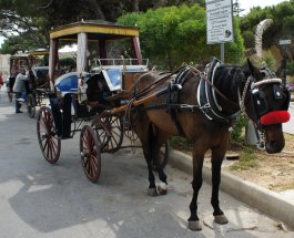 Mdina en cal&egrave;che