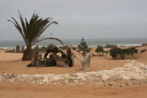 Henties Bay, C&ocirc;te atlantique