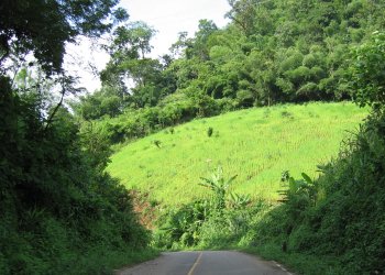 Route de Chiang Mai