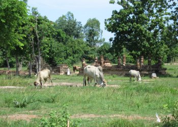Au nord de Sukhothai