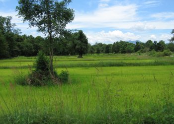 Au nord de Sukhothai