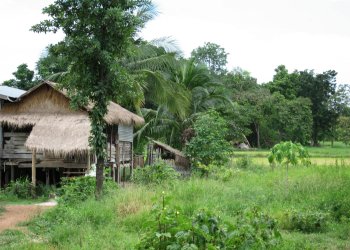 Au nord de Sukhothai
