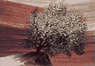 Buisson