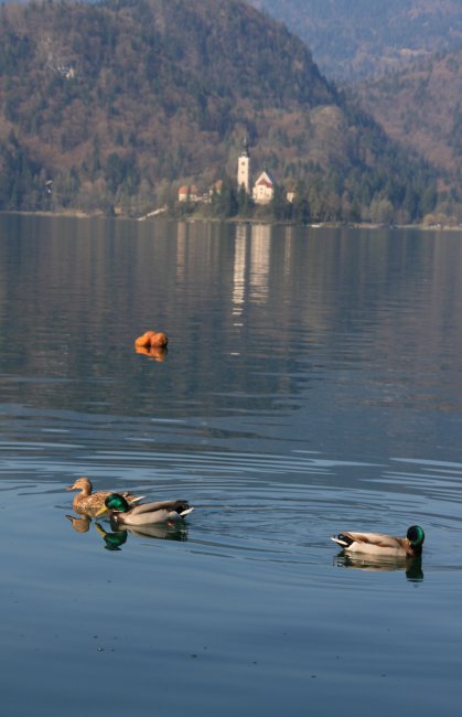 Lac de Bled