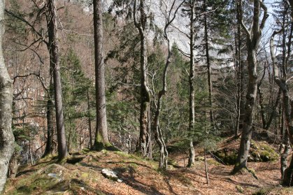 Cascade Savica pr&egrave;s du Lac Bohinj