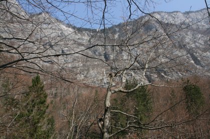 Cascade Savica pr&egrave;s du Lac Bohinj
