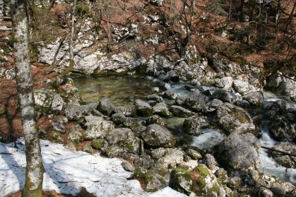 Cascade Savica pr&egrave;s du Lac Bohinj